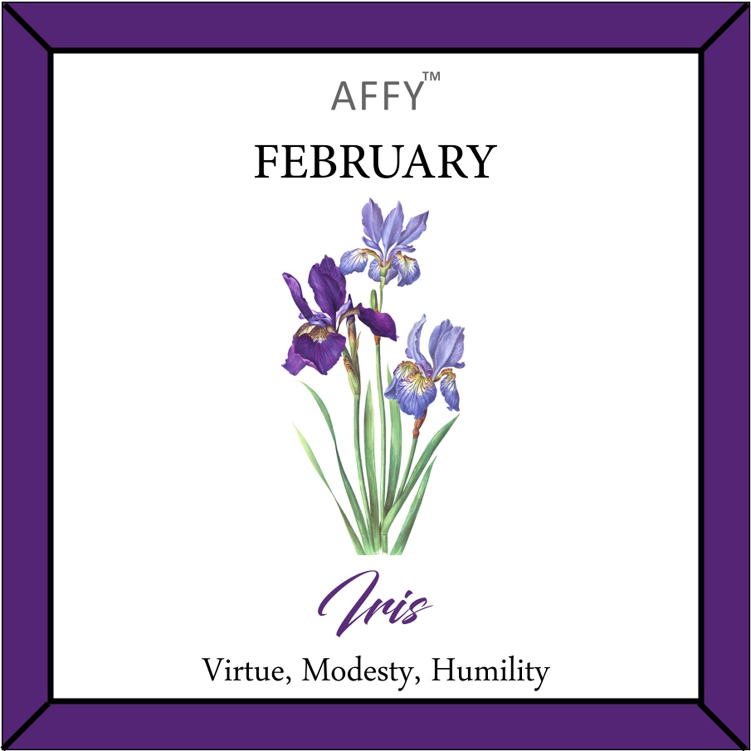 Flower Disc Charm Pendant Necklace 18K Gold Plated