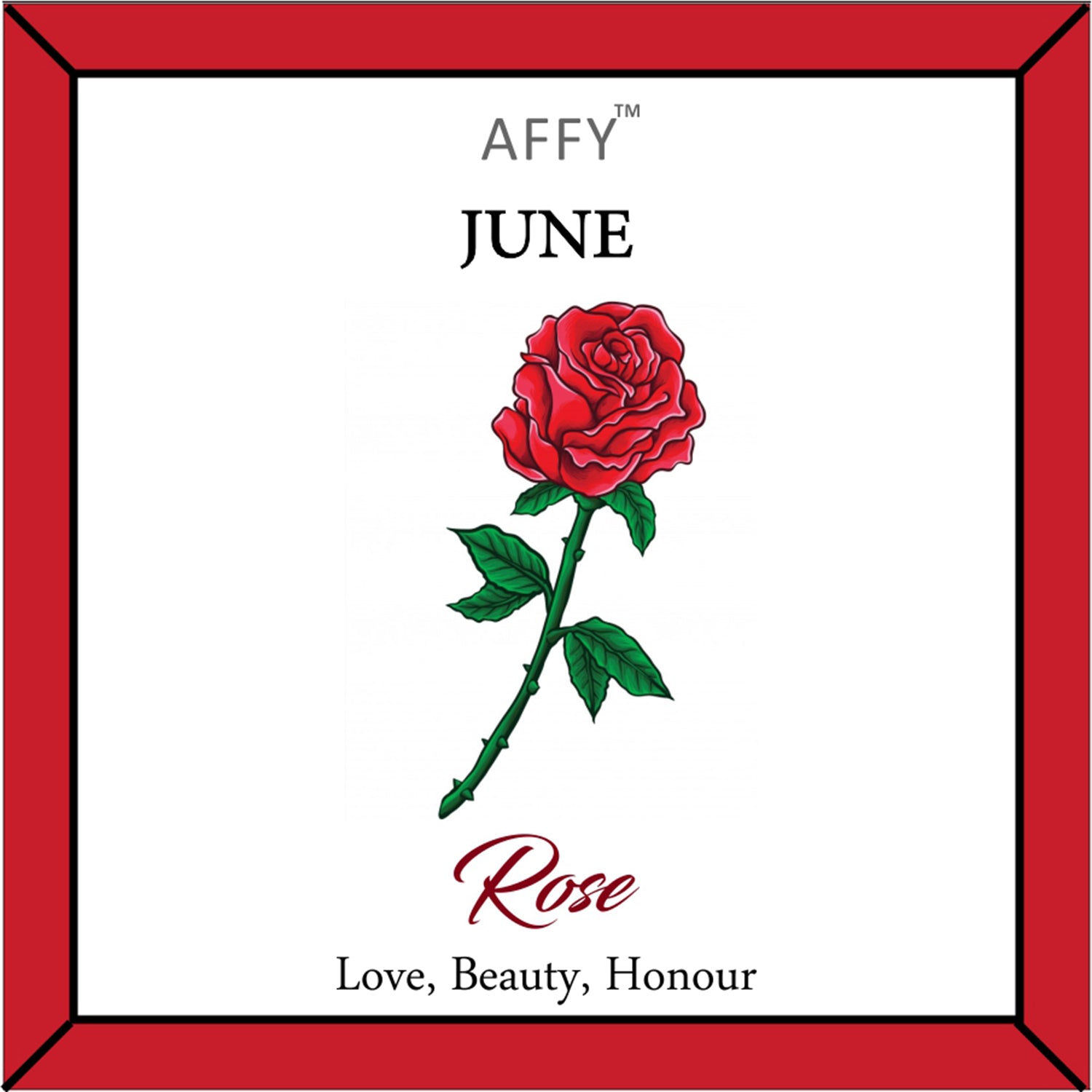 Flower Disc Charm Pendant Necklace 18K Gold Plated