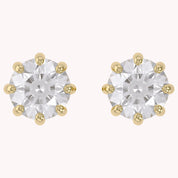 Solitaire Stud Earrings 2.50 Carat Round Lab Grown Diamond