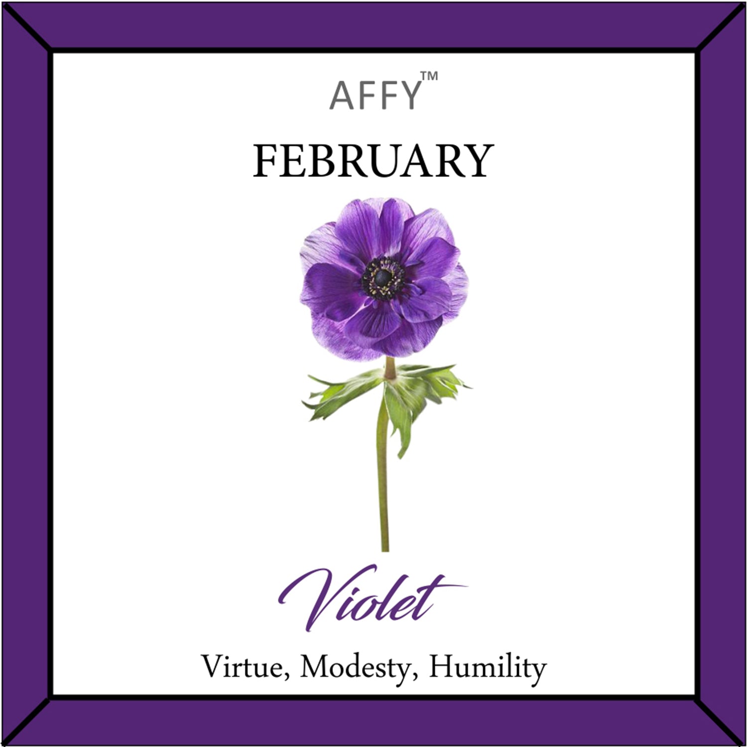 Flower Disc Charm Pendant Necklace 18K Gold Plated