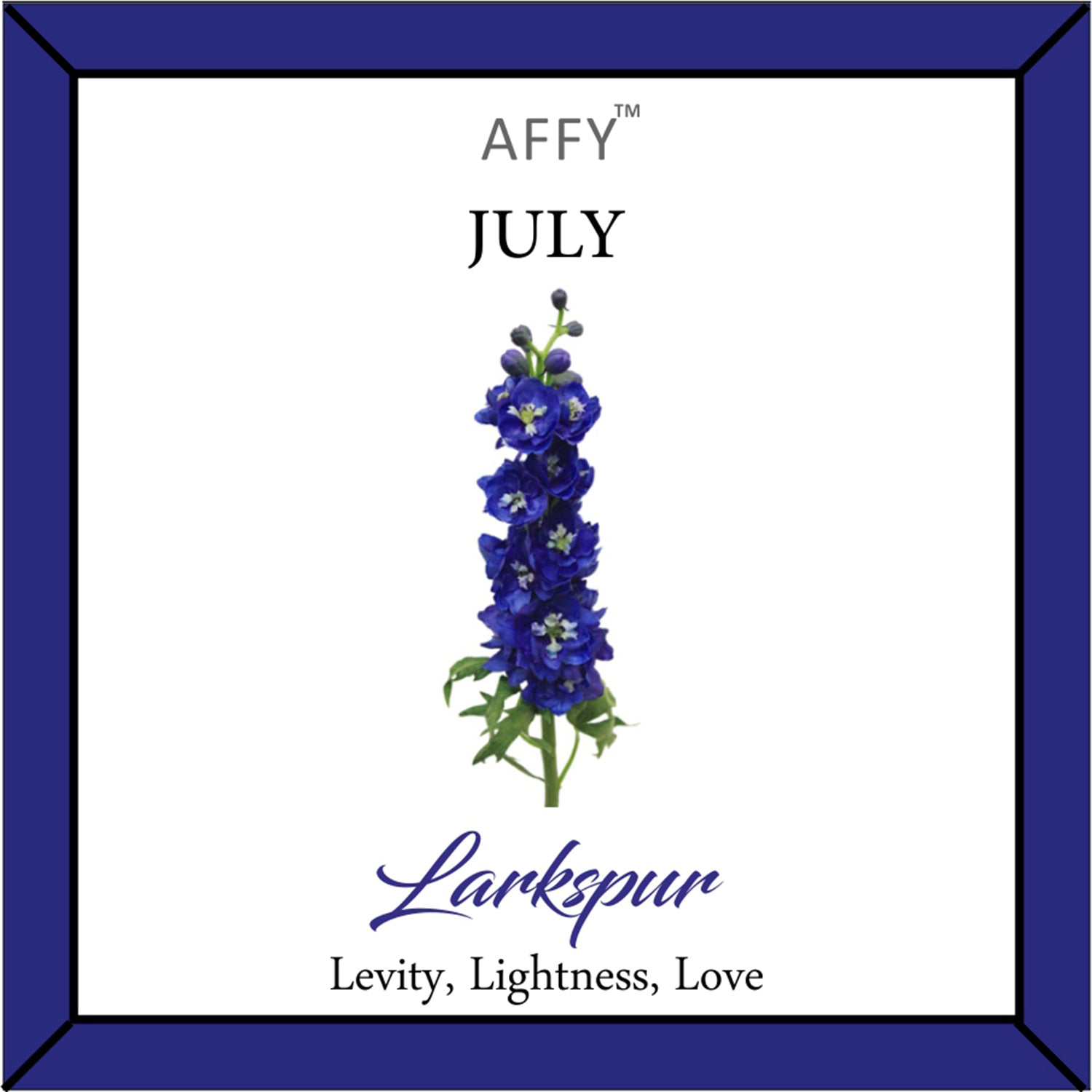 Flower Disc Charm Pendant Necklace 18K Gold Plated