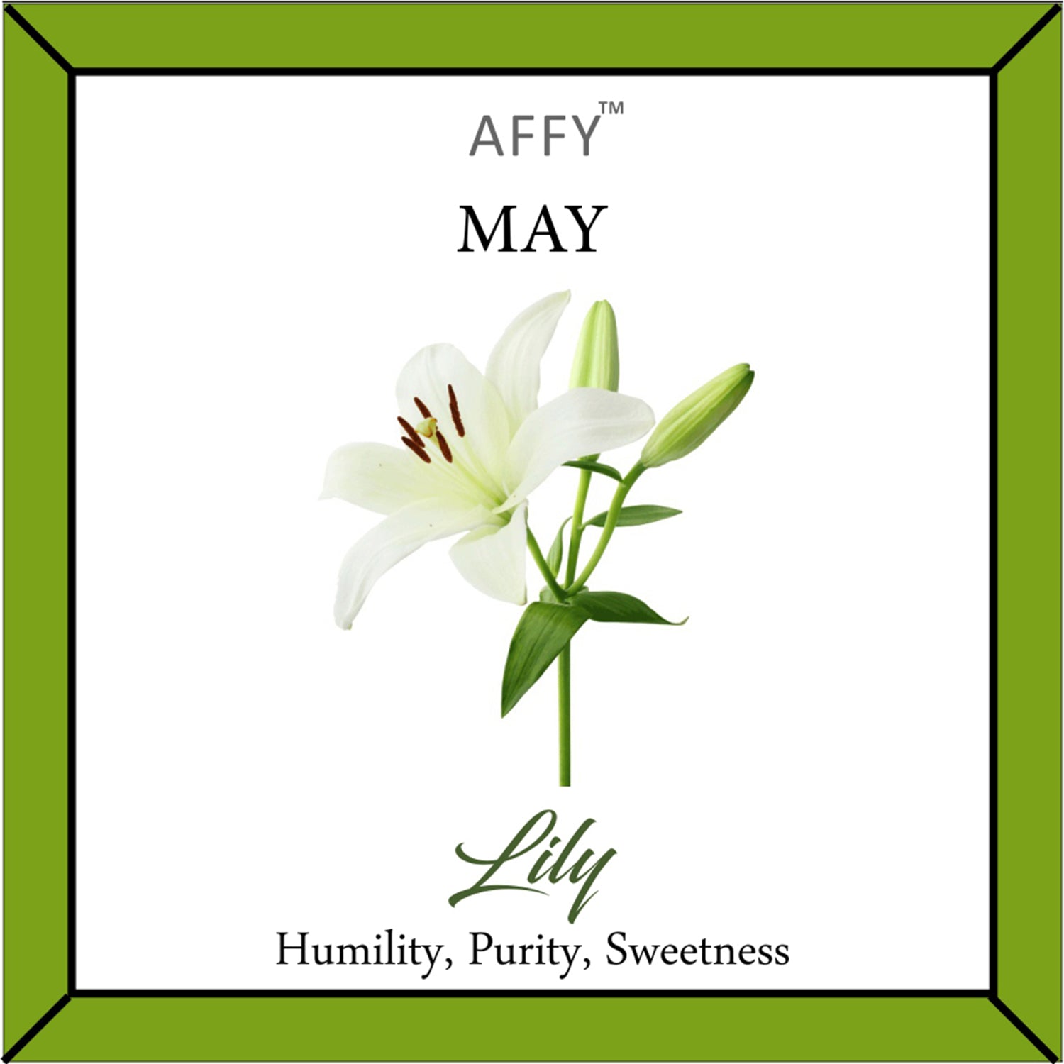 Flower Disc Charm Pendant Necklace 18K Gold Plated