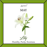 Flower Disc Charm Pendant Necklace 18K Gold Plated