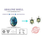 Abalone Shell Animal (Dolphin, Turtle) 14k White Gold Over Sterling Silver Stud Earrings