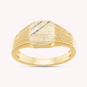 Mens Two Tone Zeus Signet Ring